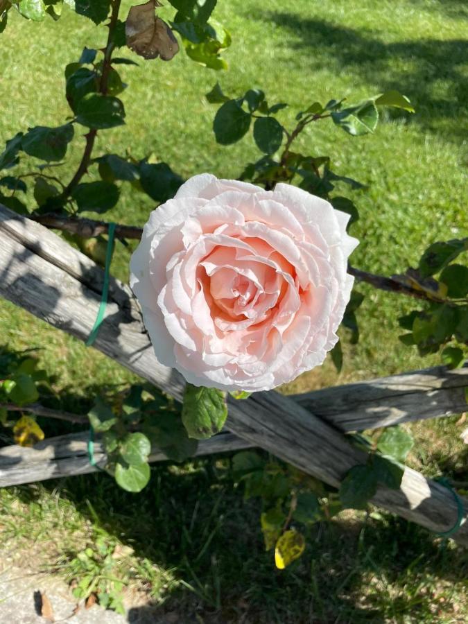 הוילה Campiglia dʼOrcia Agriturismo La Paciarella מראה חיצוני תמונה