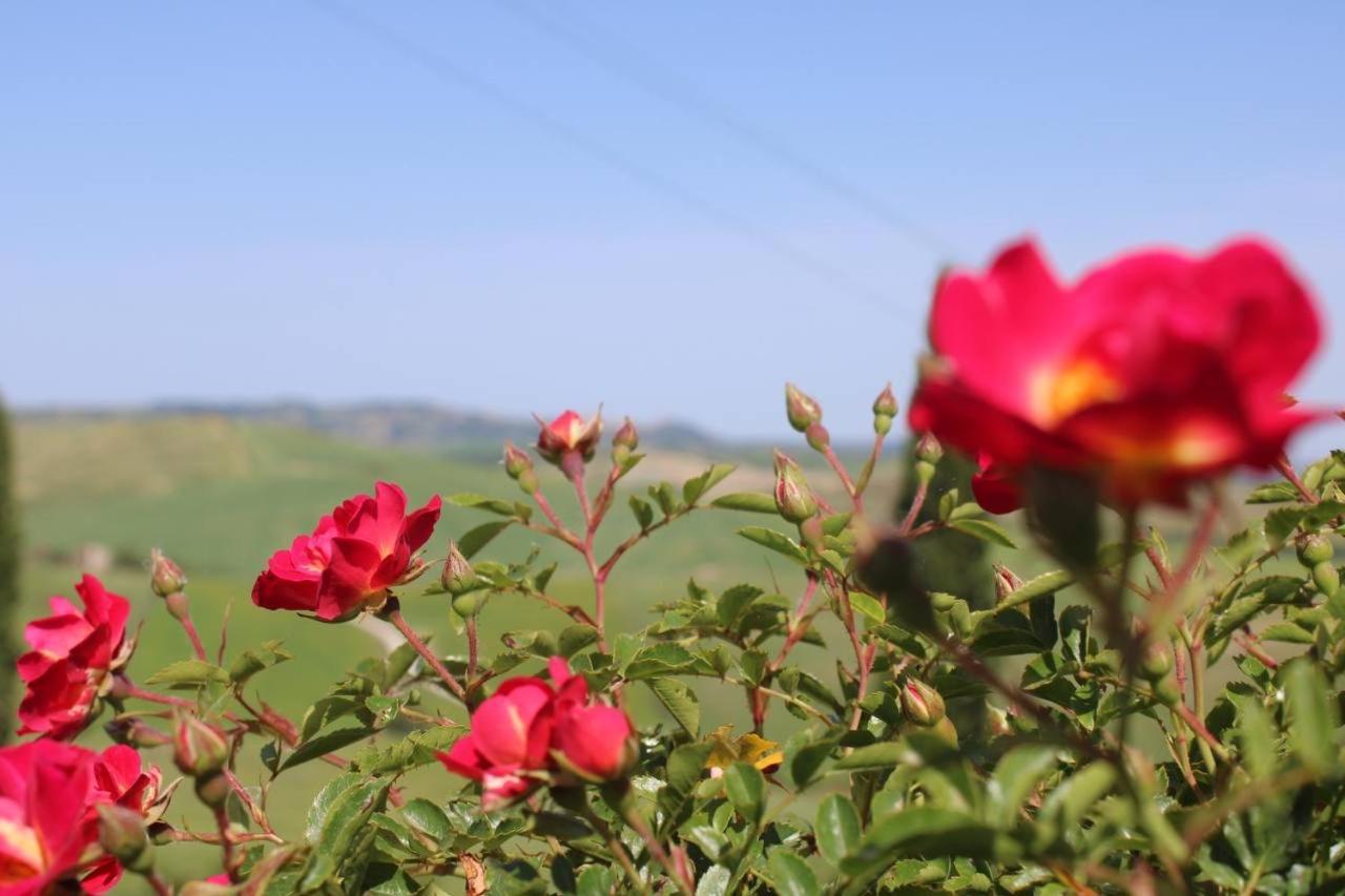 הוילה Campiglia dʼOrcia Agriturismo La Paciarella מראה חיצוני תמונה